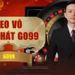 Ảnh tác giả CEO Võ Tấn Phát Go99