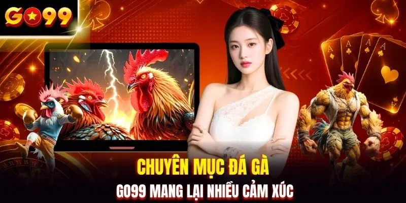 Chuyên mục đá gà GO99 mang lại nhiều cảm xúc
