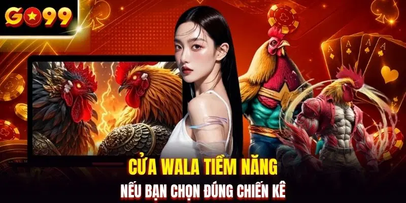 Cửa Wala tiềm năng nếu bạn chọn đúng chiến kê