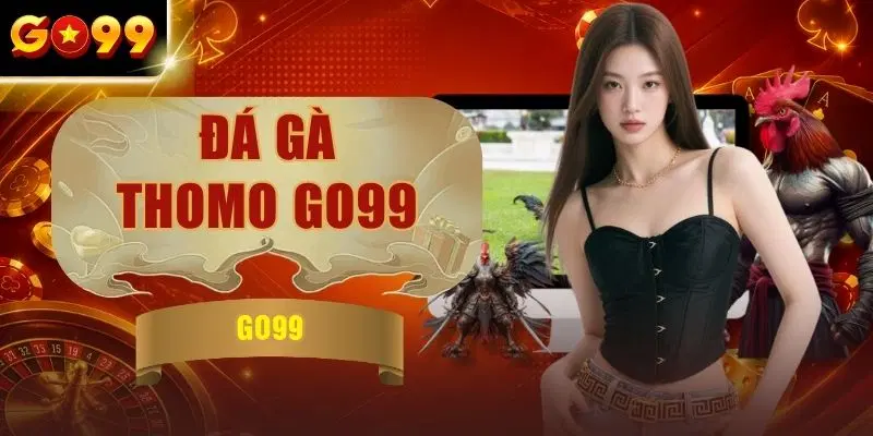 Đá Gà Thomo GO99 - Trực Tiếp Trường Kê 67 & 999 Mỗi Ngày