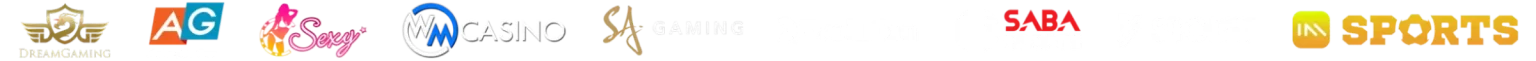 đối tác 2