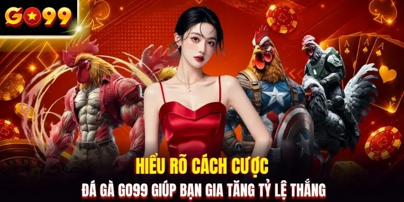 Hiểu rõ cách cược đá gà GO99 giúp bạn gia tăng tỷ lệ thắng