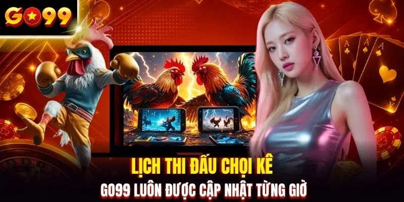 Lịch thi đấu chọi kê GO99 luôn được cập nhật từng giờ