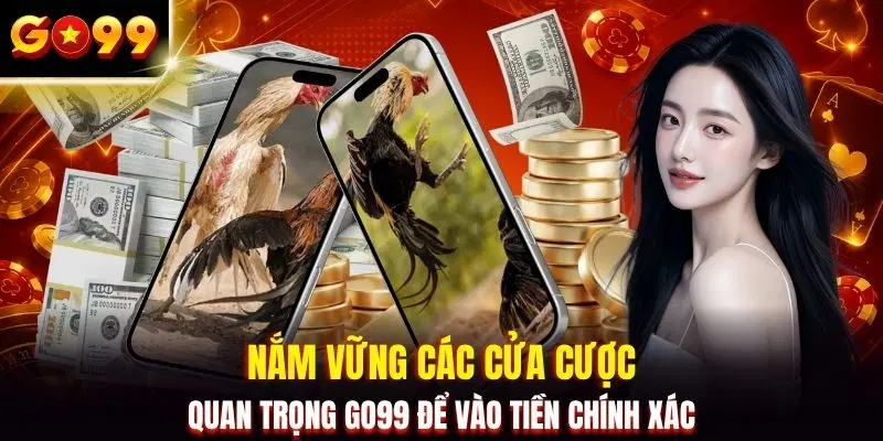 Nắm vững các cửa cược quan trọng GO99 để vào tiền chính xác 