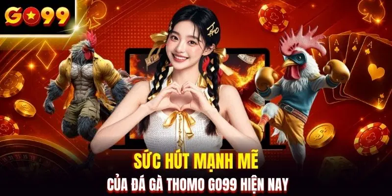 Sức hút mạnh mẽ của đá gà Thomo GO99 hiện nay