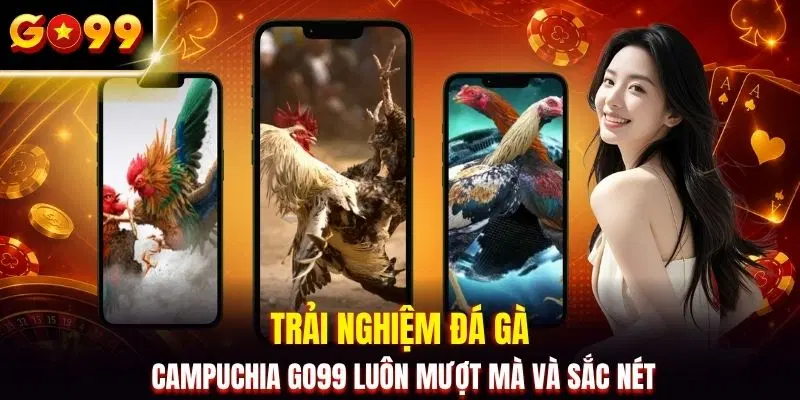 Trải nghiệm đá gà Campuchia GO99 luôn mượt mà và sắc nét