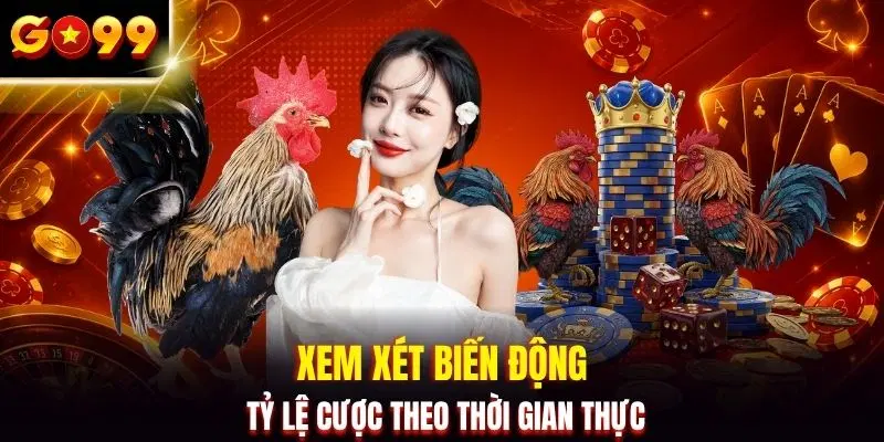 Xem xét biến động tỷ lệ cược theo thời gian thực